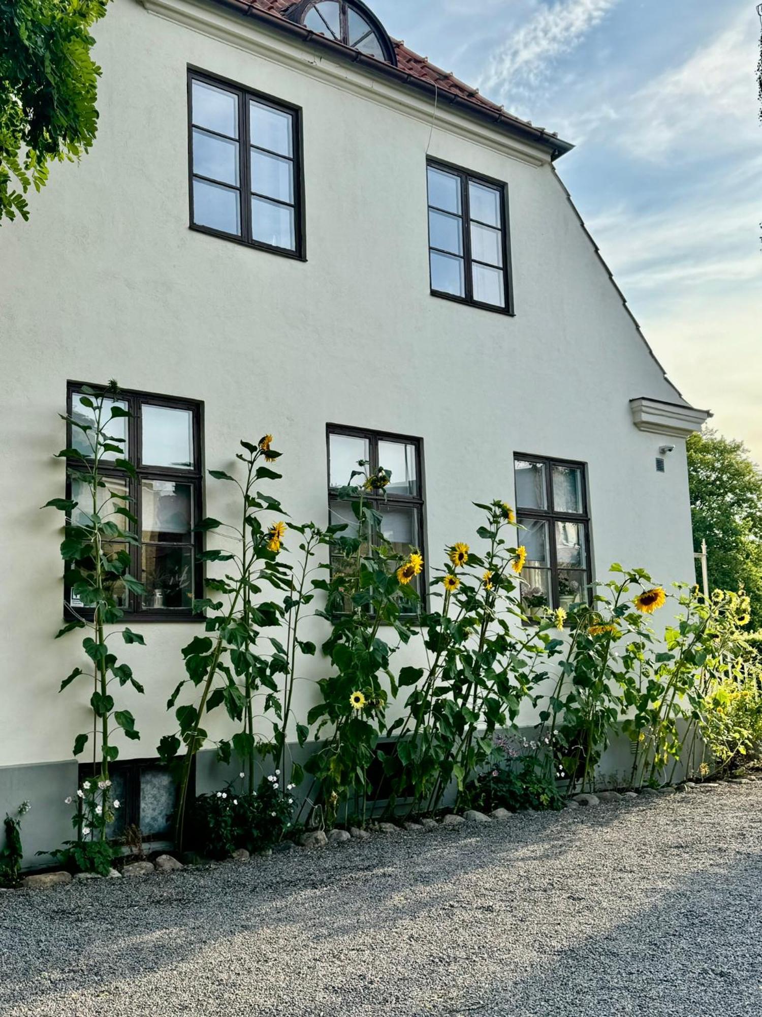 Stf Landskrona Hostel Landskrone Exterior foto