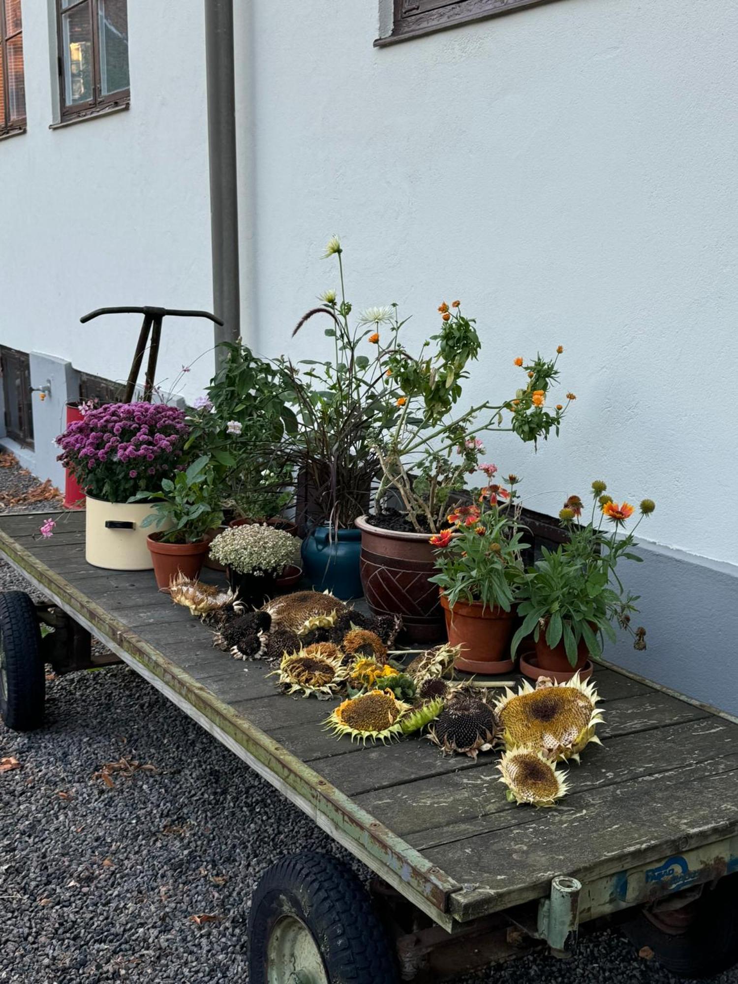 Stf Landskrona Hostel Landskrone Exterior foto